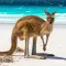 Australia’s Best: Travel Guide