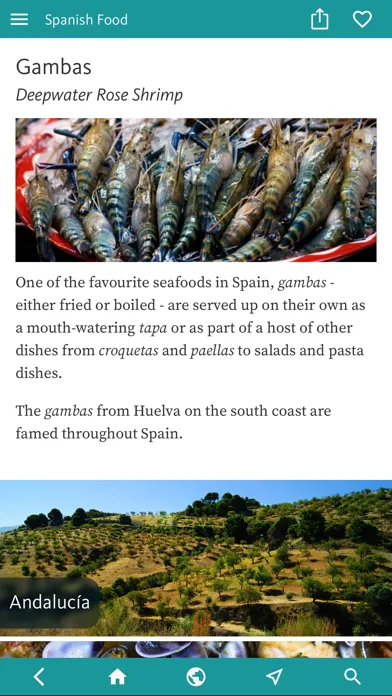 صور Spain Food & Drink Guide