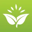 Raw Diligence 21-Day Challenge