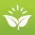 Raw Diligence 21-Day Challenge