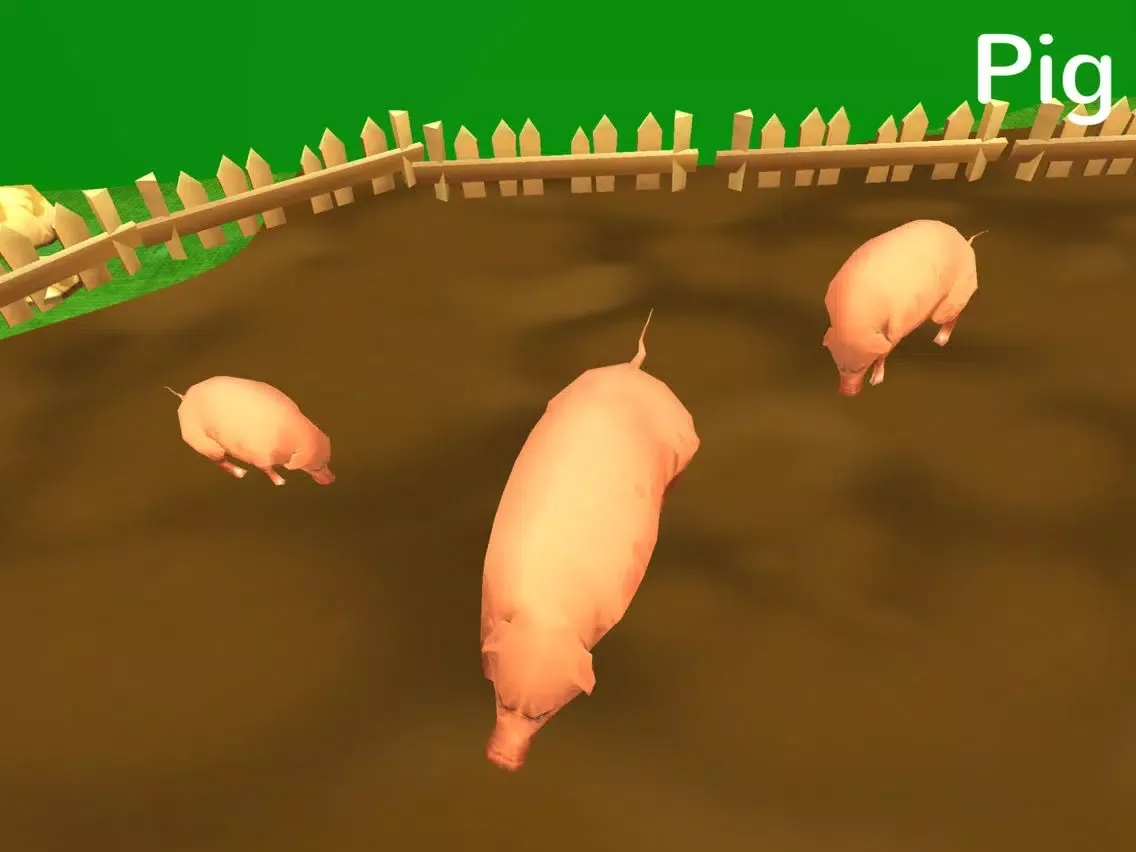Learn Animal Sounds: 3D Zoo Jungle Safari For Kids iPad 应用截图
