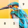 Fill Pixels by Number Game Fill Pixels by Number Game