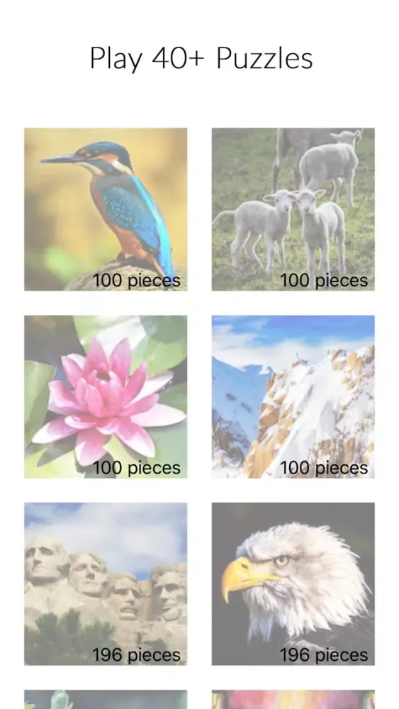 Capturas de tela do Fill Pixels by Number Game