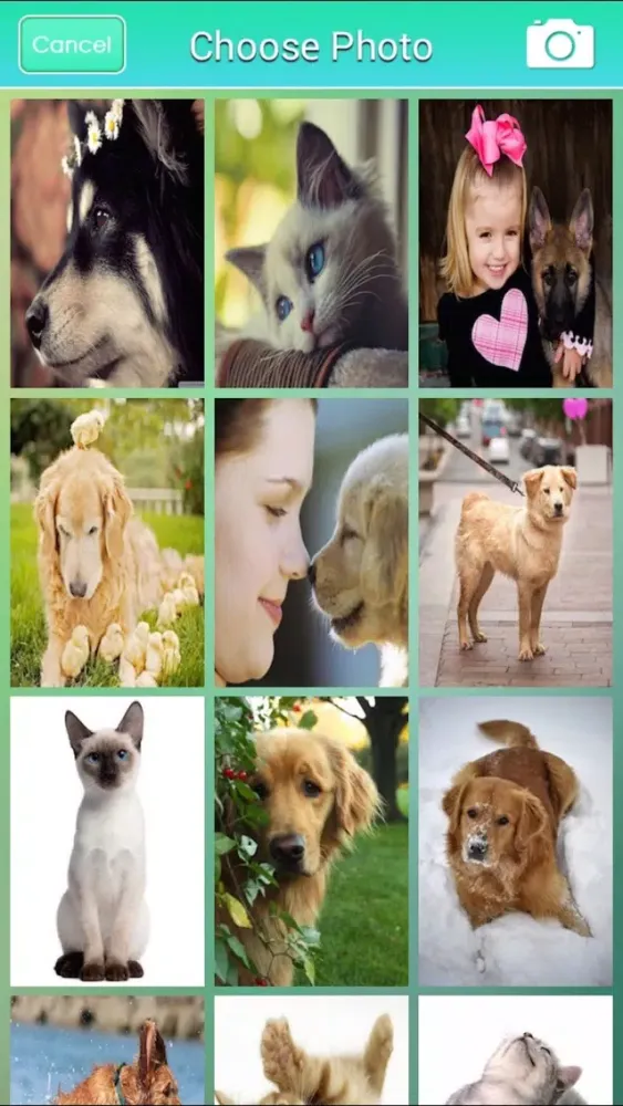 Ảnh chụp màn hình của Pet Wallpapers HD Free: Set Awesome Homescreen for iPhone