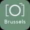 Brussels Guide & Tours