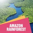Amazon Rain Forest Travel Guide