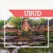 Ubud City Guide