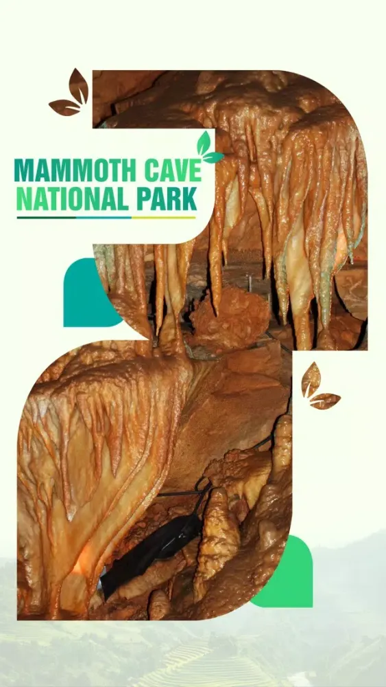 Screenshot di Mammoth Cave National Park Travel Guide