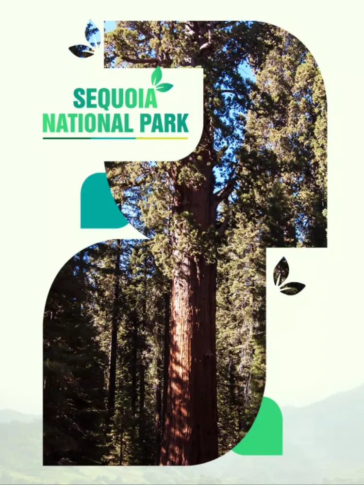 Ảnh chụp màn hình của Sequoia National Park Travel Guide iPad 