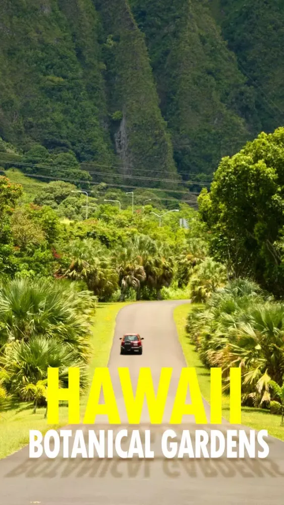 Botanical Gardens of Hawaii Screenshots