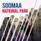 Soomaa National Park Travel Guide