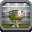 GAA Facts