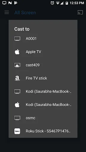All Screen Cast to TV Roku Screenshots