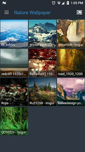 All Screen Cast to TV Roku Screenshots