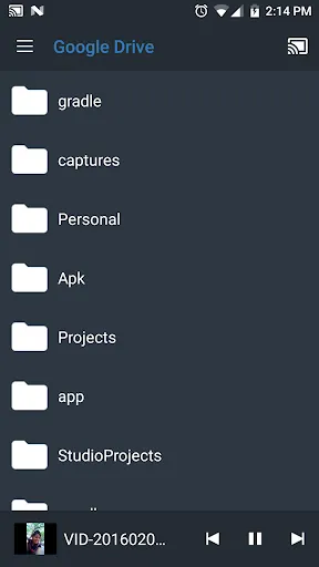 All Screen Cast to TV Roku Screenshots