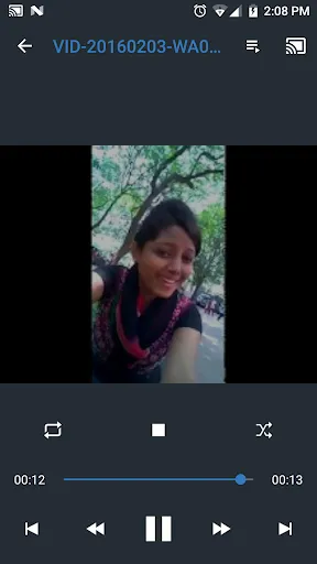 All Screen Cast to TV Roku Screenshots