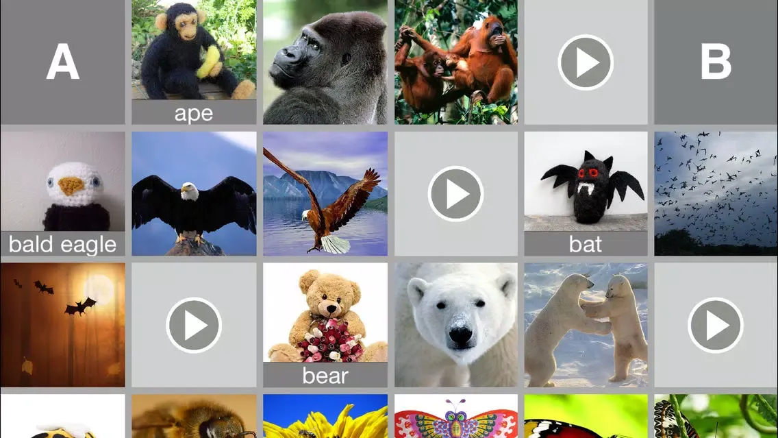 Zrzuty ekranu A2Z Animals Free