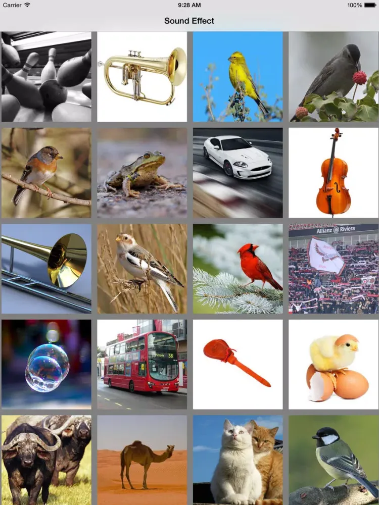 Zrzuty ekranu Free Musical Instruments Sounds for Baby iPad 