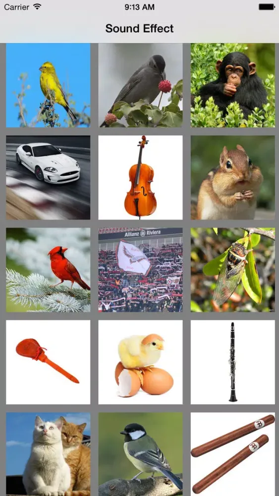 Zrzuty ekranu Free Musical Instruments Sounds for Baby