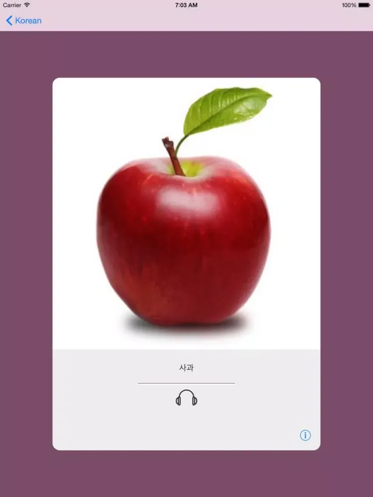 Learning Korean Basic 400 Words iPad 应用截图