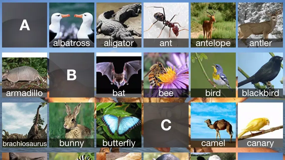 Learn Animals Screenshots