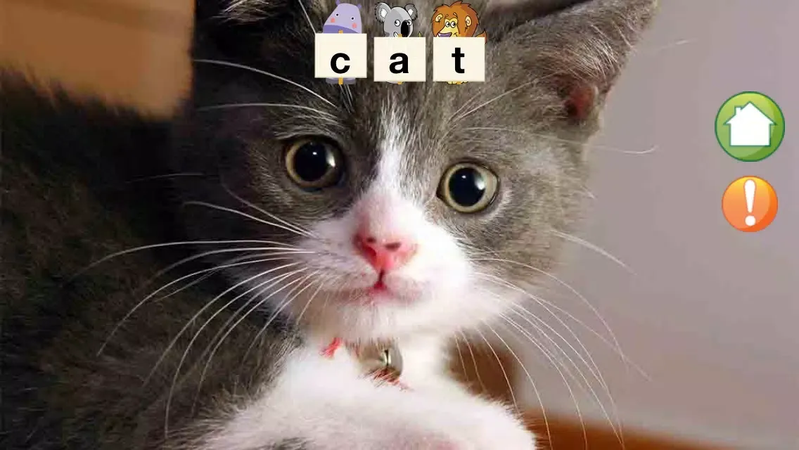 Learn Animals Screenshots