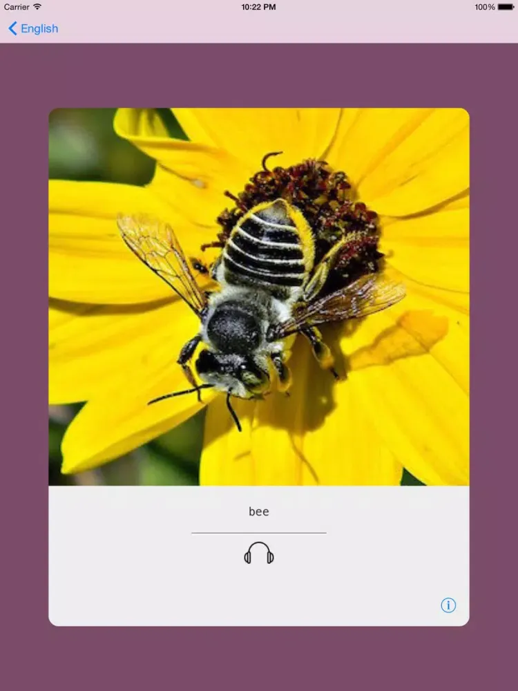 Capturas de pantalla de Learning English (British) Basic 400 Words iPad 