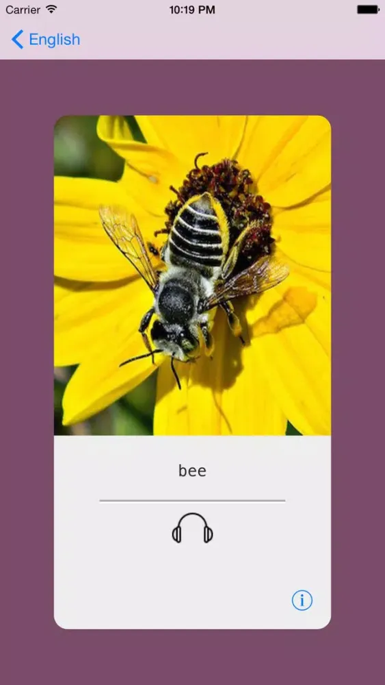 Capturas de pantalla de Learning English (British) Basic 400 Words