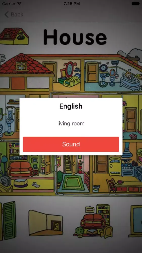 تصاویر Learning English (American) Basic Words