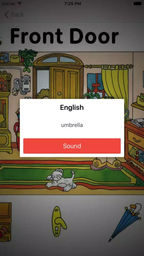 تصاویر Learning English (American) Basic Words