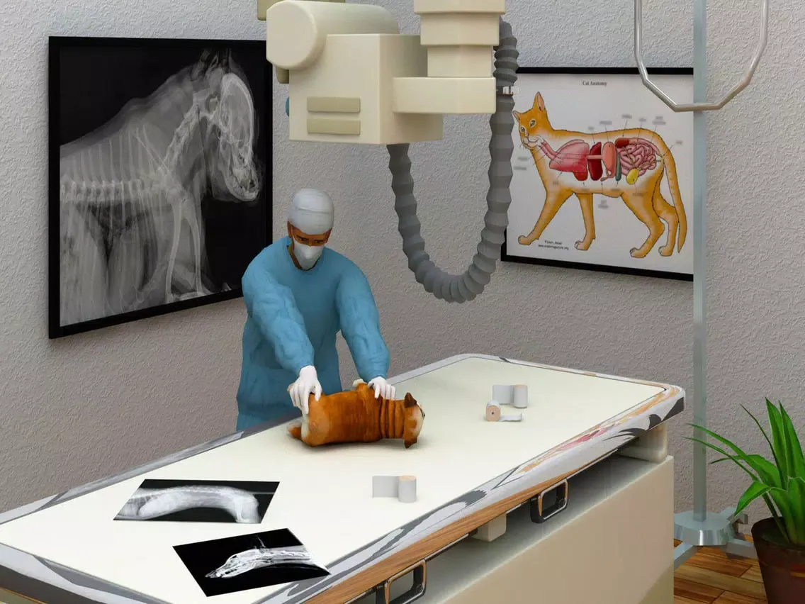 Скриншоты Virtual Pet Care Vet Hospital iPad 