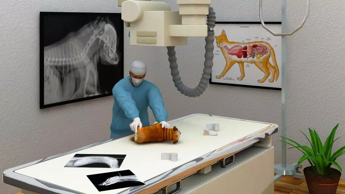 Скриншоты Virtual Pet Care Vet Hospital