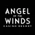 Angel Of The Winds Casino