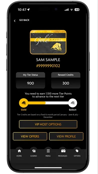 Скриншоты Buffalo Run Casino