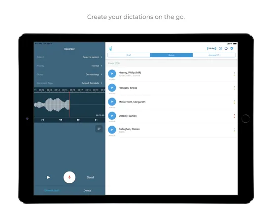 Скриншоты NOHC Dictate iPad 