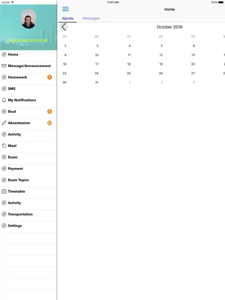 Ảnh chụp màn hình của Çizgi Koleji iPad 