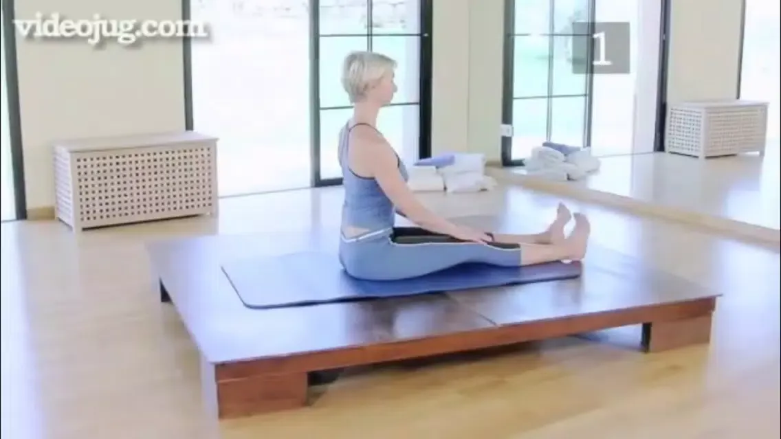 Pilates Genius स्क्रीनशॉट