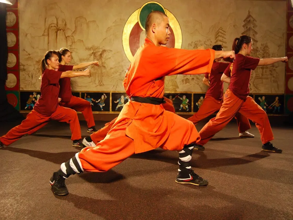 Capturas de pantalla de Shaolin Kung Fu Expert iPad 