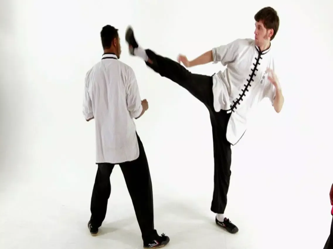 Capturas de pantalla de Shaolin Kung Fu Expert iPad 