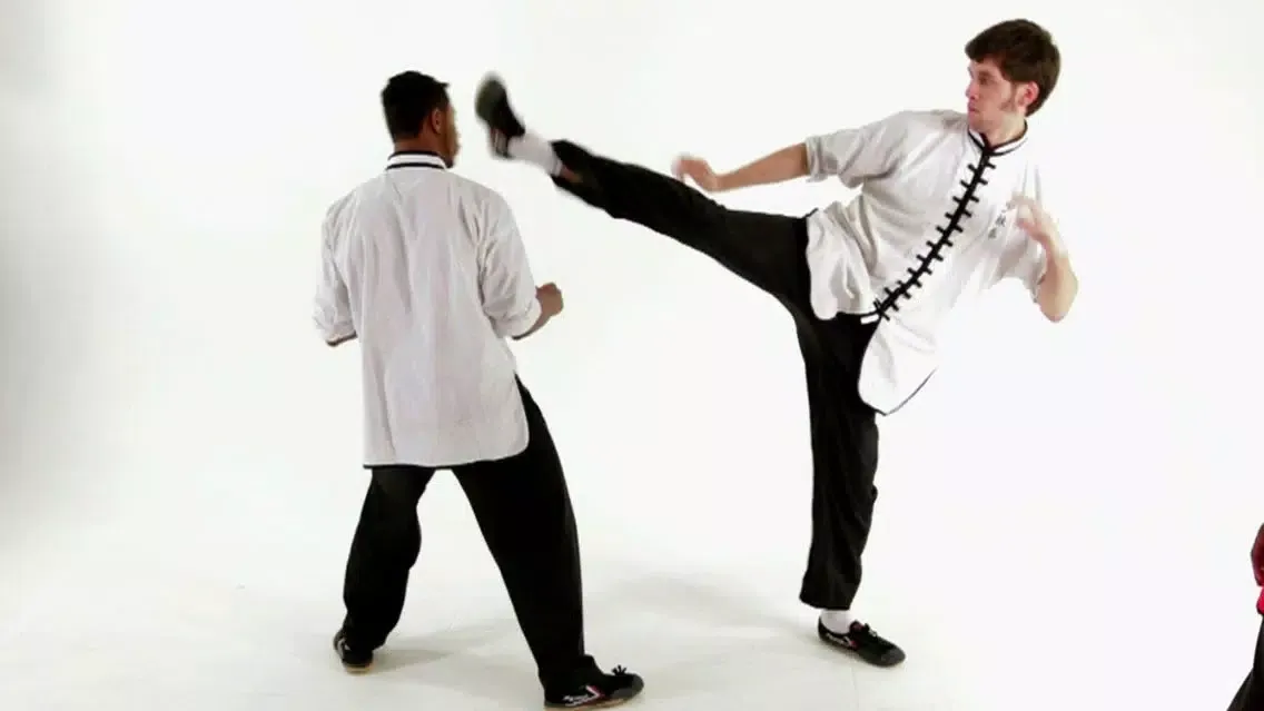 Capturas de pantalla de Shaolin Kung Fu Expert