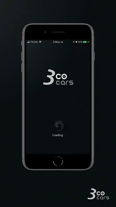 Zrzuty ekranu Company Cars México