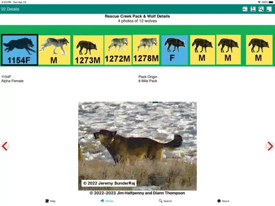 Yellowstone Wolves 2022 iPad  স্ক্রিনশট
