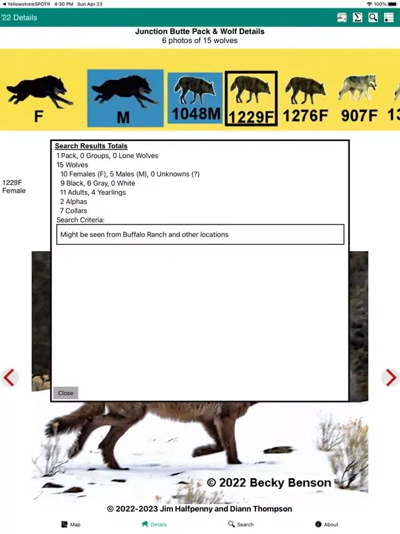Yellowstone Wolves 2022 iPad  স্ক্রিনশট