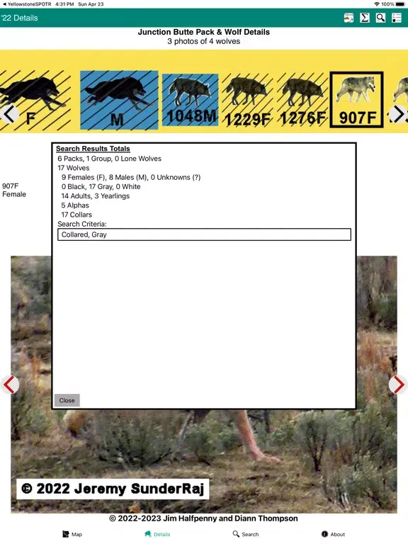 Yellowstone Wolves 2022 iPad  স্ক্রিনশট