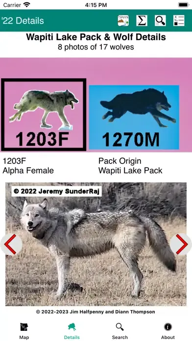 Yellowstone Wolves 2022 স্ক্রিনশট
