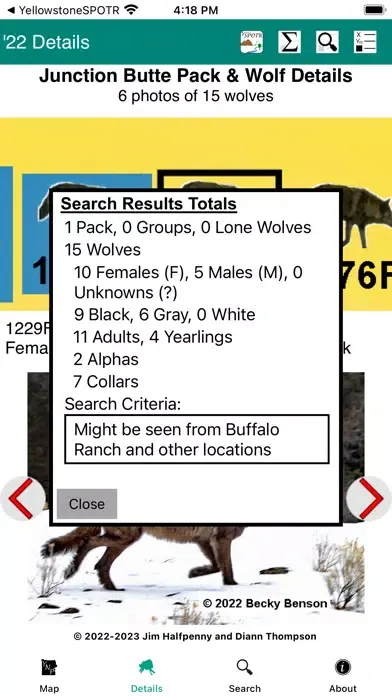 Yellowstone Wolves 2022 স্ক্রিনশট