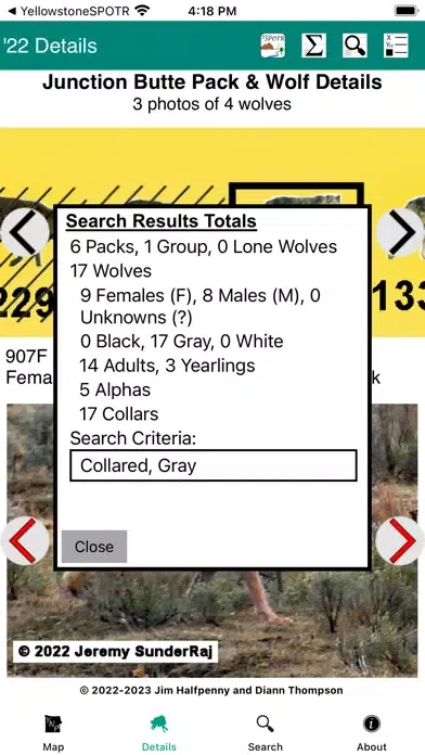 Yellowstone Wolves 2022 স্ক্রিনশট