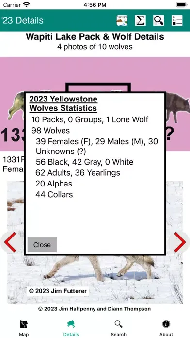 Screenshot di Yellowstone Wolves 2023