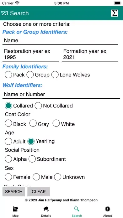 Screenshot di Yellowstone Wolves 2023