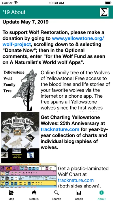 Yellowstone Wolves: The Years Screenshots